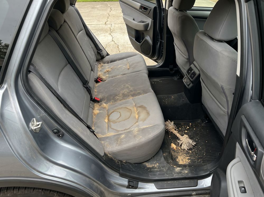 The gray cloth back seat of a Subaru Outback through the open rear door, covered in drifts of golden dog hair, with a dried coffee ring on the cushion, sand and crumbs on the floor mat and a chewed rope toy.